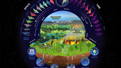 biodiversity