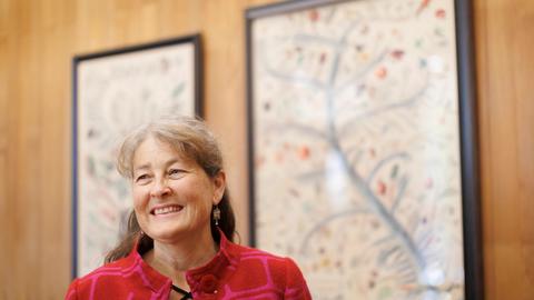 Jeannine at herbarium
