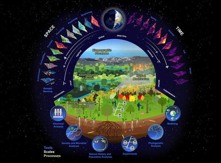 biodiversity
