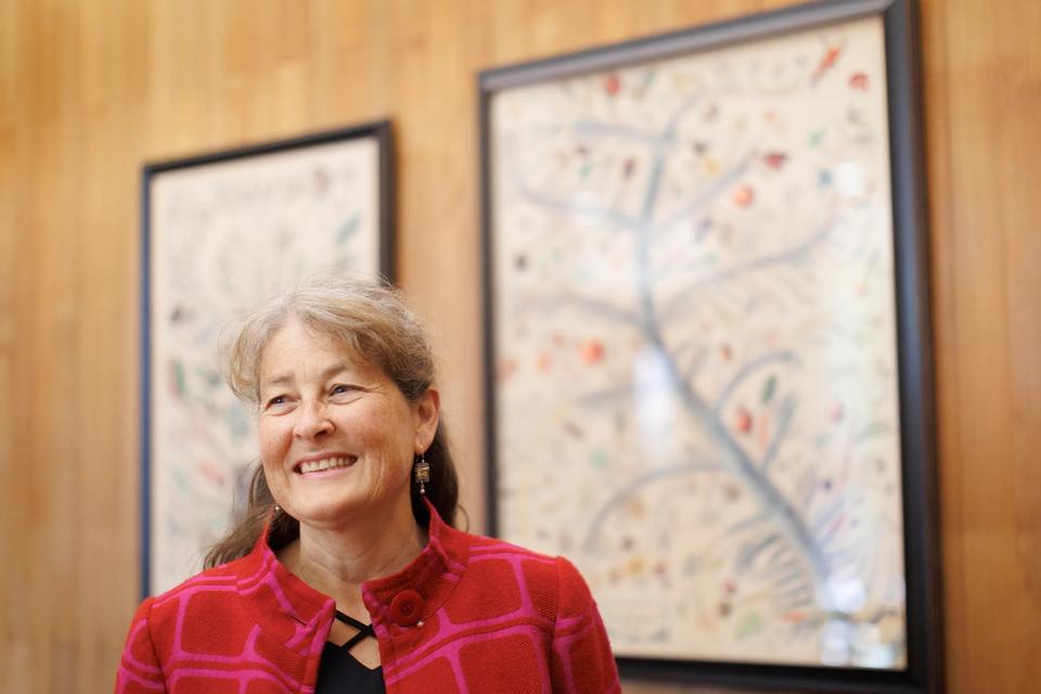 Jeannine at herbarium