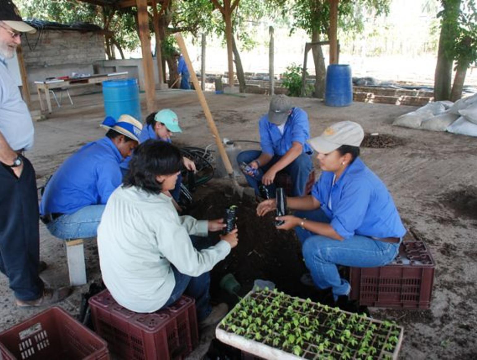 preparing samples